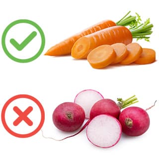 Carrot and Radish
