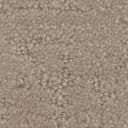 Sandalwood Sandalwood