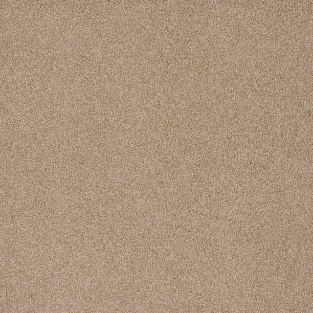 FloorEver™ PetPlus Signature Silver Cornsilk FP043_F04110