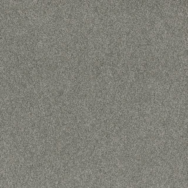 FloorEver™ PetPlus Signature Silver Fern FP043_F04119