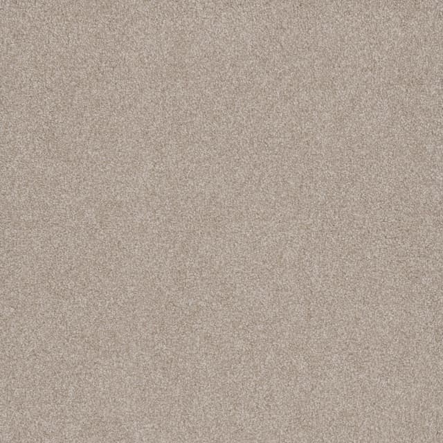 FloorEver™ PetPlus Signature Silver Powder FP043_F04102